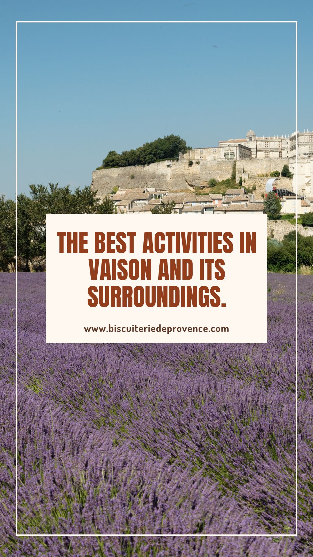 The best activities in vaison and its surrondings 